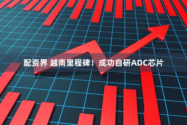 配资界 越南里程碑！成功自研ADC芯片