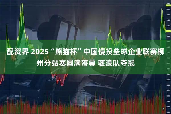 配资界 2025“熊猫杯”中国慢投垒球企业联赛柳州分站赛圆满落幕 骇浪队夺冠